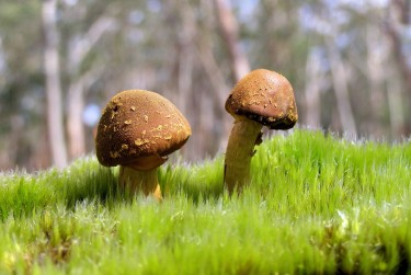 深圳南山区3私人老板放款：轻松融资的秘密通道